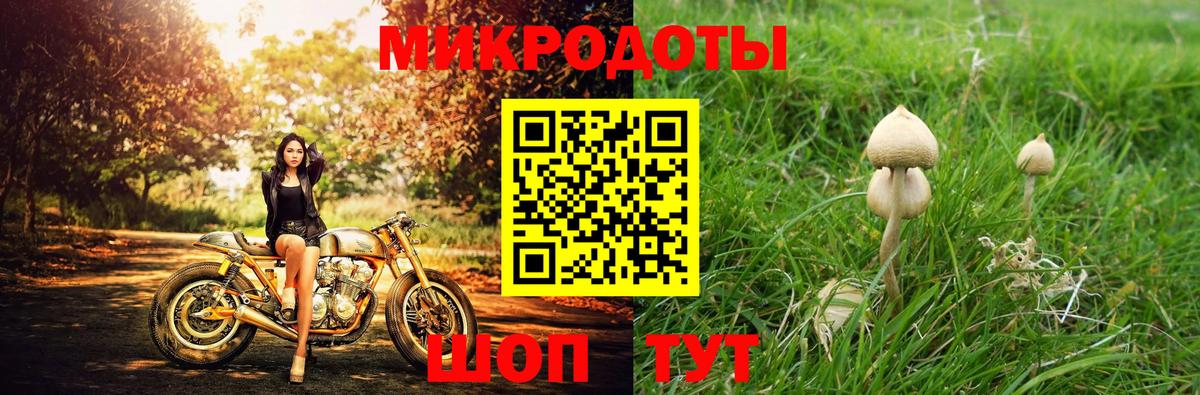 Псилоцибиновые грибы Magic Shrooms  Вход с VPN  Клинцы 