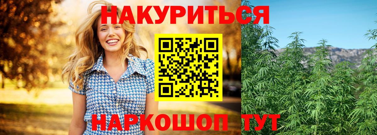 Бошки марихуана OG Kush Клинцы